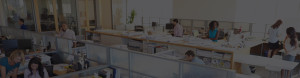 Barrera Professional Services Veteran Owned