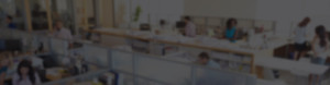 barrera enterprises IT solutions